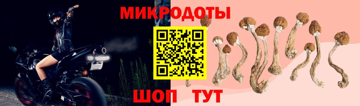 Галлюциногенные грибы Magic Shrooms Дюртюли